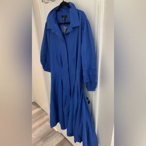 Ashley Stewart Pleated Cotton-Blend Shirtdress